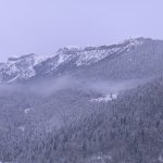 Sturaro Heleanna - il coppolo d inverno